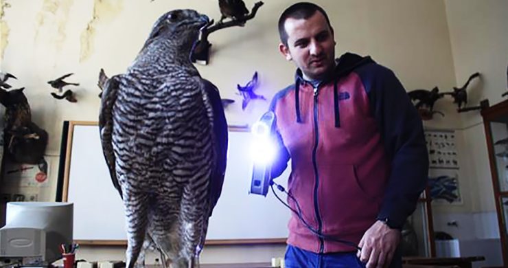 絶滅危惧の動物を3Dスキャンしてデータ化。地球のいまを未来に残す取り組み