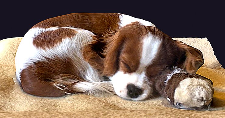 ここまでくればもはや本物！3Dスキャンの底力を感じる3D作品